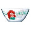 ϳ��� Luminarc Disney Princess Royal Bowl J3995 500 ��