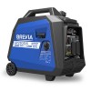 ��������� Brevia ����������� ���������� ,2,0��� (��� 1,8���)+ ����� Molder Engine Oil 4T 10W-30 1�