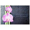 ������� ��������� KITTY 40 * 60 ORKIDE