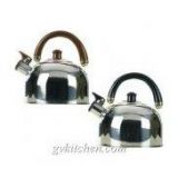 ������ 2.5 �. Maestro-Rainbow MR1300