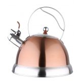 ������ � �������� 3� Bergner BG-3745