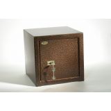 ���� �������� ��-25