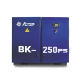 ��������� ��������� ˳��� �� 250PS