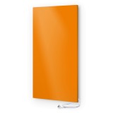 ��������������� ������� UDEN-700 "���������" ������������