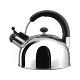 ������ SHINY Vinzer 89000