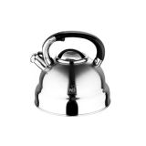 ������ � �������� 4,5 � Wellberg WB-6234