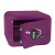 ���� �������� Ferocon ENERGY VIOLET