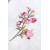 ���� HOBBY ��� Rainbow Pike Fusya 230*250 �����
